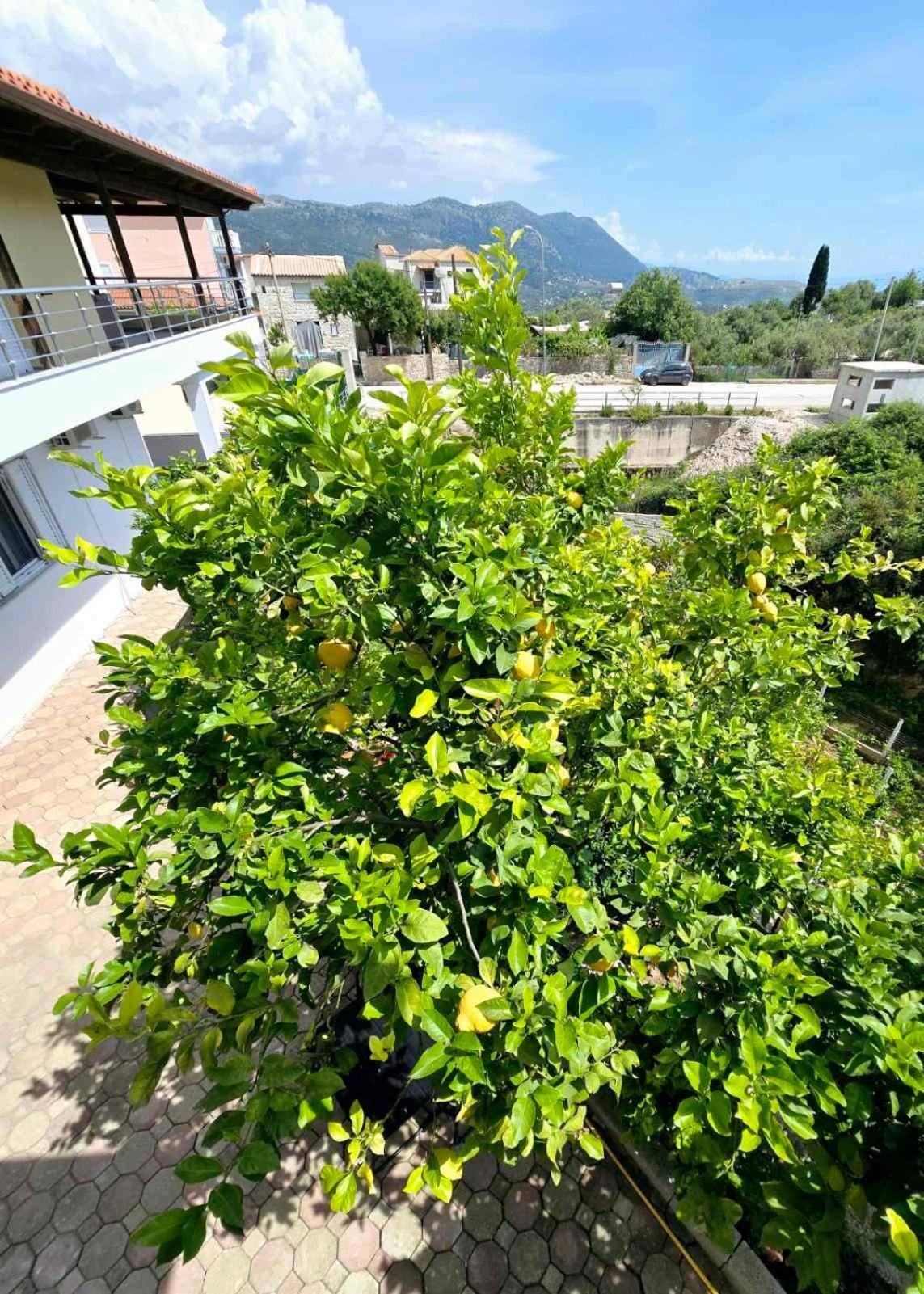 Philoxenia Guest House Himara Kültér fotó