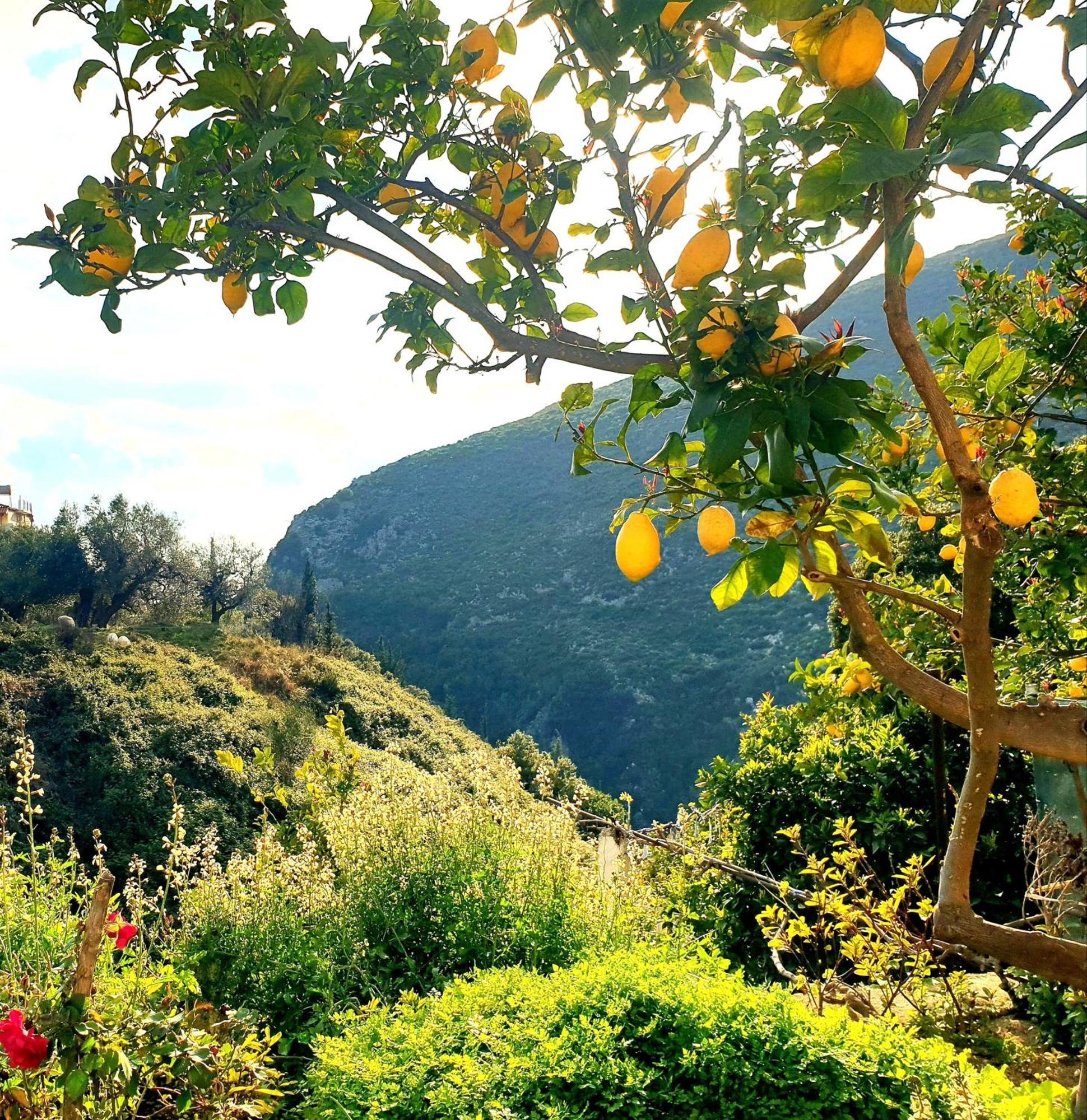 Philoxenia Guest House Himara Kültér fotó