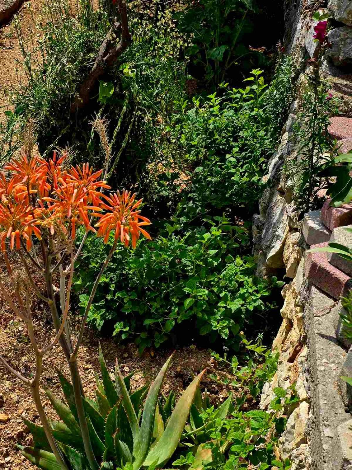 Philoxenia Guest House Himara Kültér fotó
